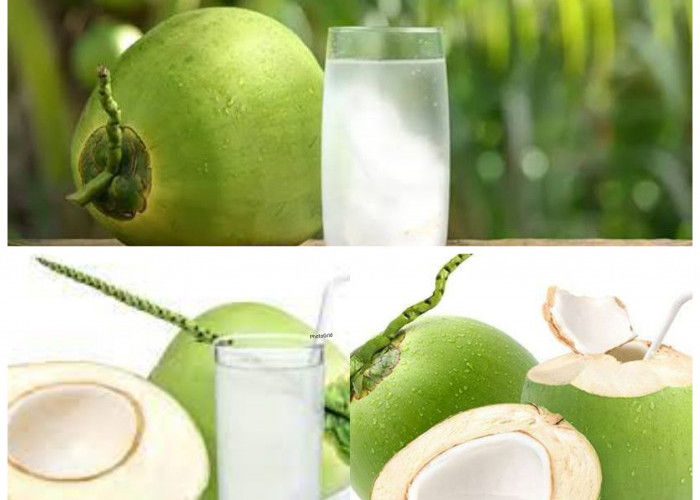 Rahasia Alami Air Kelapa untuk Menjaga Tubuh Tetap Sehat dan Bugar!