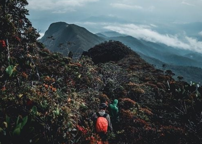 Mengungkap Sejarah Gunung Hulu Nilo: Dari Asal Usul Hingga Kepercayaan Lokal