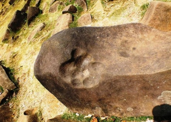  Batu Harimau, Salah Satu Batu Megalit Gunung Padang, Pesona  Prasejarah yang Mangagumkan!