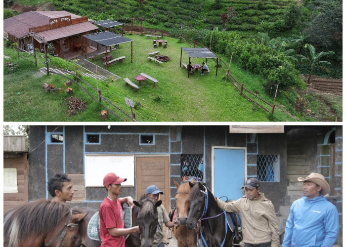 Kampung Koboi Tugu Selatan, Wujud Transformasi Desa Berbasis Potensi Lokal dalam Program Desa BRILiaN