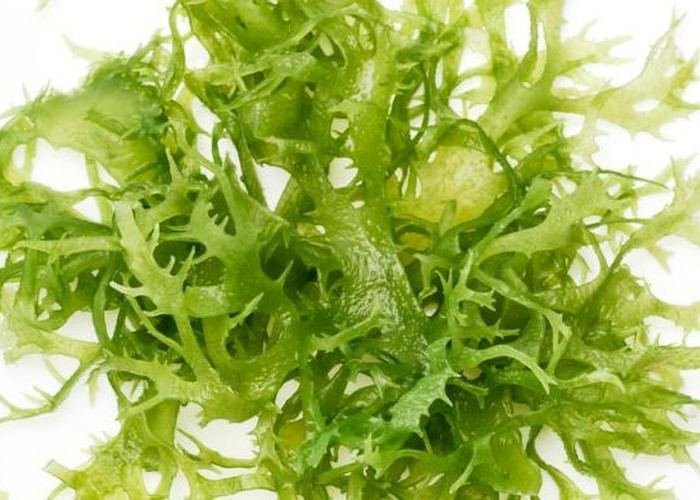 5 Manfaat Rumput Laut yang Sehat Untuk Tubuh!