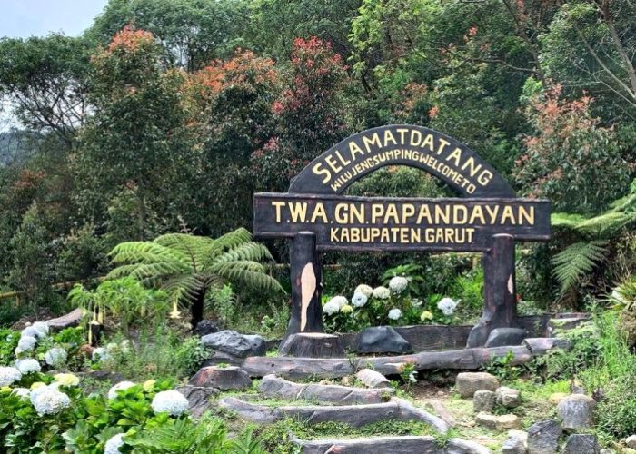 Taman Wisata Alam Gunung Papandayan, Wisata yang Cocok Untuk Keluarga di Garut