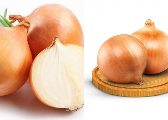 Manfaat Bawang Bombai bagi Kesehatan: Yang Harus Kalian Ketahui