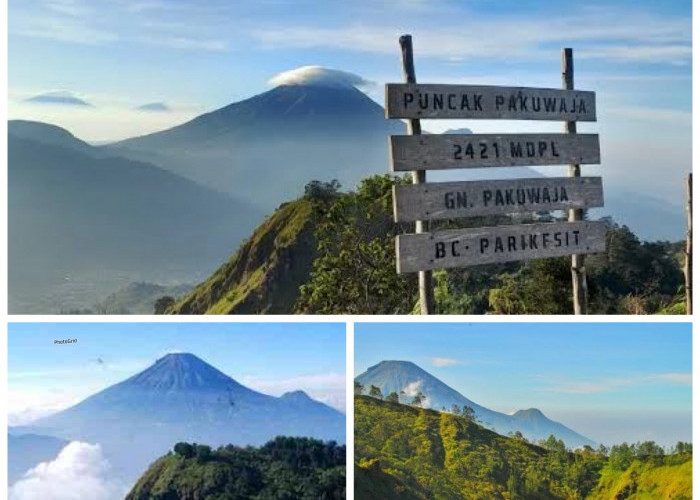 Sejarah Gunung Pakuwojo: Jejak Mistis, Spiritualitas, dan Perjuangan di Tanah Jawa!