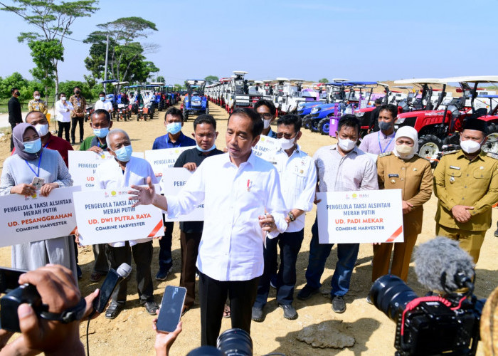 Presiden Jokowi Luncurkan Lumbung Pangan Berbasis Mangga dan Taksi Alsintan di Kabupaten Gresik