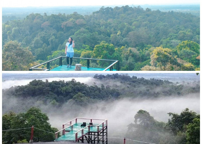 Mengulik Sejarah Bukit Peramun, Jejak Pengobatan Tradisional yang Kini Jadi Destinasi Wisata Modern