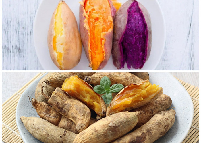 Lezat dan Bergizi! Ini Manfaat Ubi Rebus dengan Tekstur Lembut yang Disukai Banyak Orang