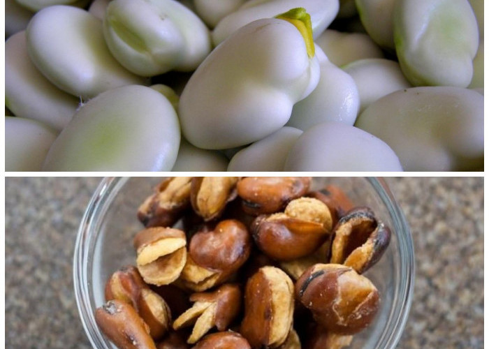 Rahasia Kacang Koro: Lima Manfaat Penting untuk Kesehatan yang Wajib Kamu Tahu