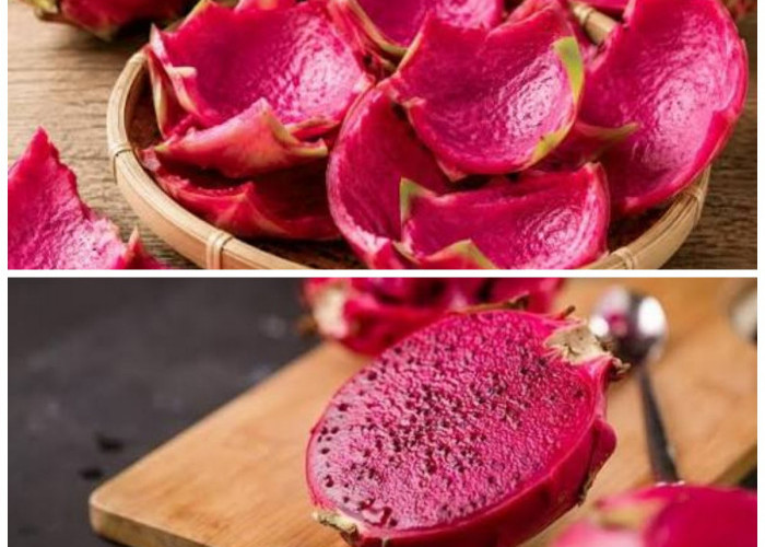 Jangan Langsung Dibuang! Simak 7 Manfaat Hebat Kulit Buah Naga untuk Kesehatan yang Masih Jarang Diketahui