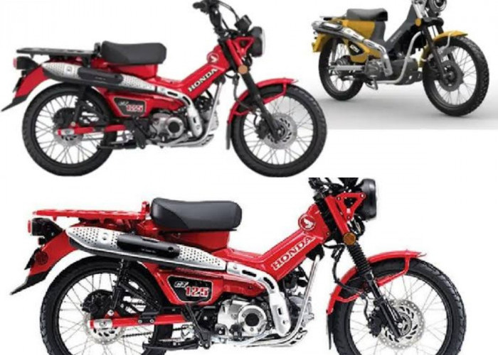 Gaya Mirip Honda CT125, WMoto Porter 125 Hadir: Rp80 Juta Bukan Cukup Satu, Tapi Tiga Unit!
