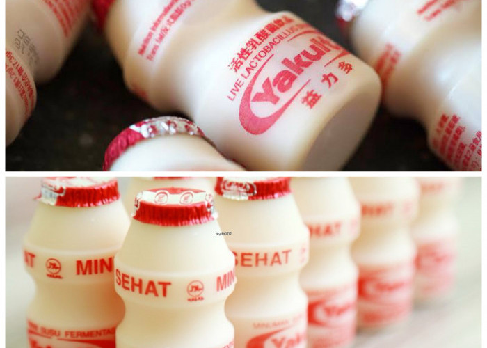 Manfaat Minum Yakult bagi Kesehatan Tubuh, Bantu Jaga Pencernaan hingga Tingkatkan Daya Tahan Tubuh!