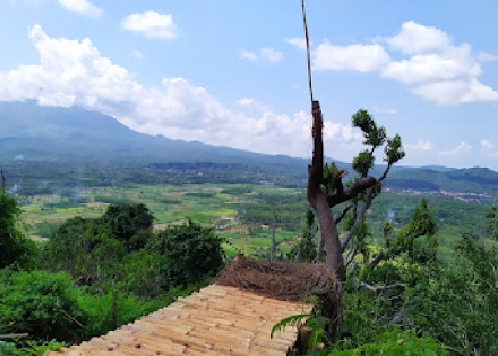 Kisah Mistis di Gunung Bujel: Antara Sejarah dan Spiritualitas