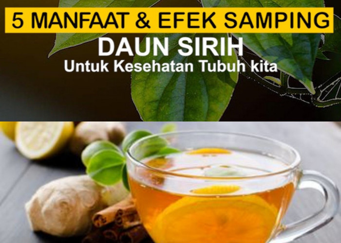 Penasaran Apa Saja Manfaat Wedang Sirih? Cek Ini!