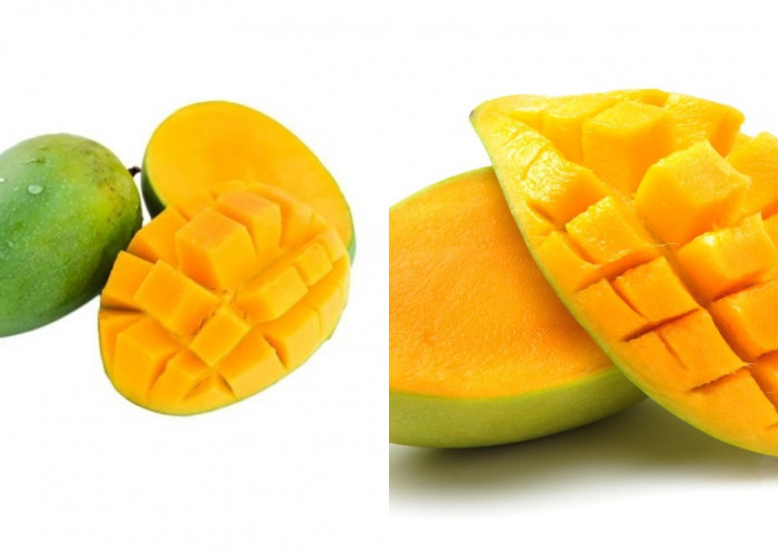 Yuk Ketahui! Segudang Manfaat Buah Mangga Untuk Ibu Hamil Yang Luar Biasa