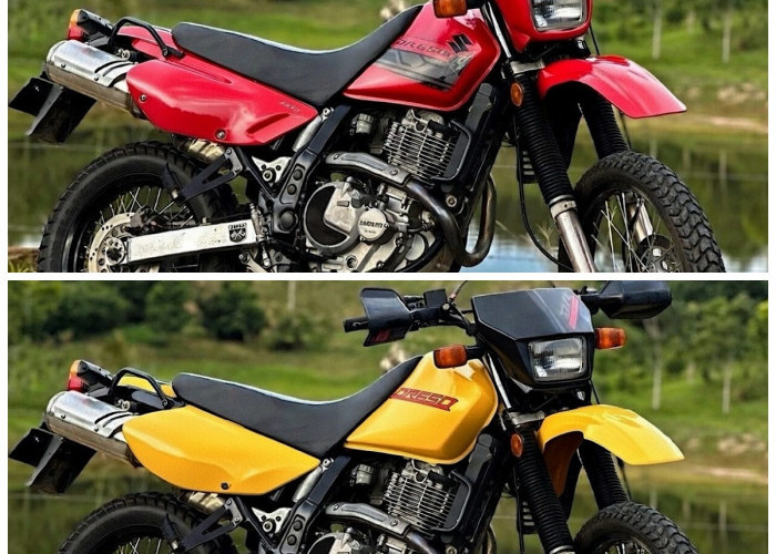 Motor Adventure Suzuki DR650 2026 Jadi Primadona di Eropa, Ini Alasannya!