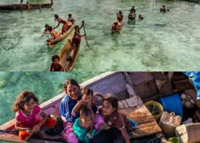 Pendidikan Formal atau Kehidupan Laut? Apa yang Paling Penting bagi Anak Suku Bajau!