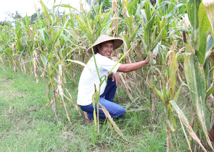 Reforma Agraria Dorong Lahirnya Generasi Petani Muda di Desa Soso, Blitar