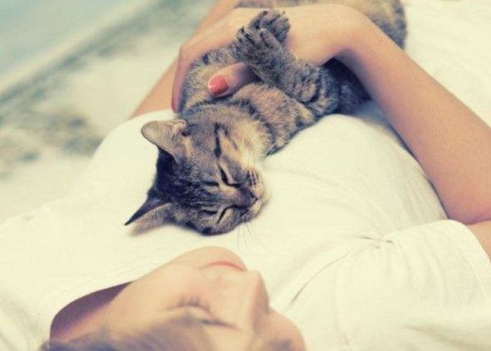 Pecinta Kucing Wajib Tau! Ini 6 Alasan Kucing Suka Tidur Bersama Manusia, Salah Satunya Didatangi Malaikat!