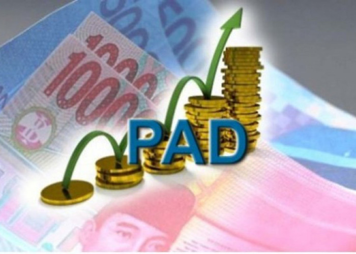 PAD Muba Lampaui Target