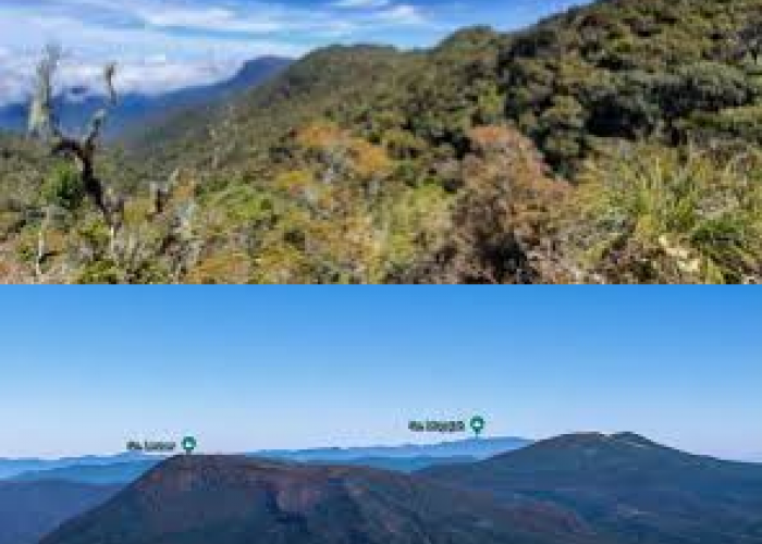 Menggali Sejarah Puncak Tertinggi Gunung Leuser: Surga Alam yang Terancam