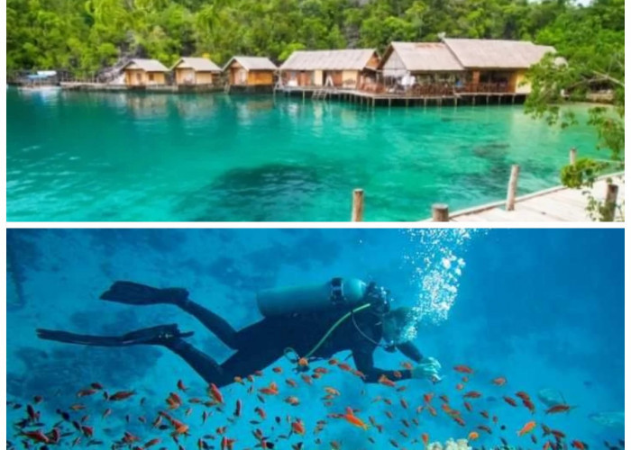 Sejarah Wisata Bawah Laut Basilika: Surga Tersembunyi di Kepulauan Sitaro!