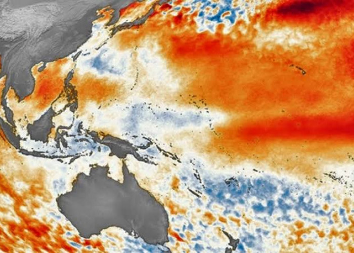 El Nino Segera Berganti La Nina, Ini Bahaya Yang Harus Diwaspadai!