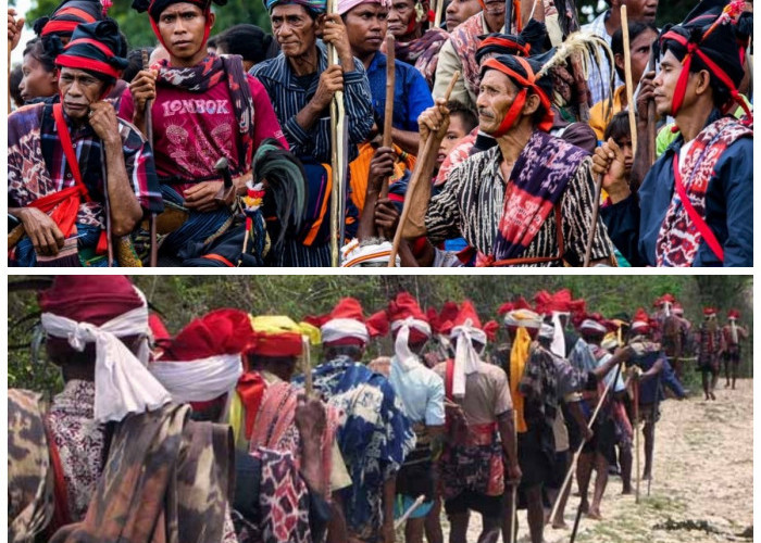 Suku Sumba dan Warisan Marapu: Cerita Leluhur yang Masih Hidup hingga Kini