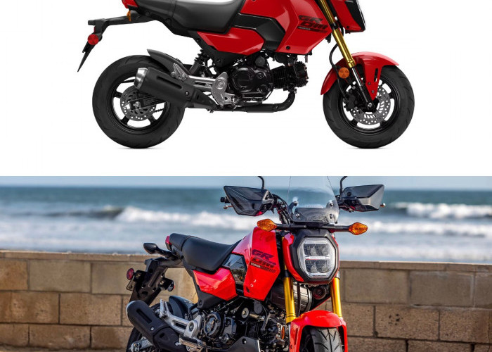 Ini Alasan Honda Grom 2026 Jadi Perbincangan Pecinta Otomotif