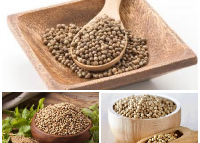 Inilah Rahasia Biji Ketumbar: Rempah Kecil dengan Segudang Manfaat!