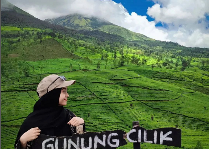 Mengungkap Keindahan Gunung Cilik Wonosobo, Destinasi Hiking Favorit di Jawa Tengah