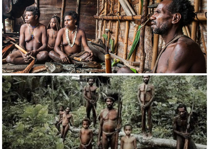 Sejarah Suku Korowai: Penghuni Hutan Tropis yang Menjaga Tradisi Leluhur!