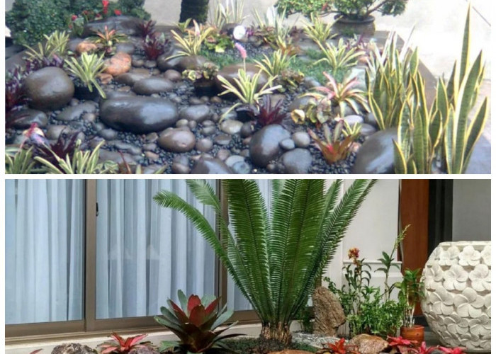 Taman Batu Kali: 5 Ide Desain yang Bikin Rumah Minimalis hingga Tropis Lebih Asri