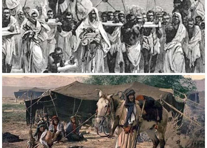 Mengenal Suku Bangsa Arab: Sejarah dan Kebudayaan di Zaman Rasulullah