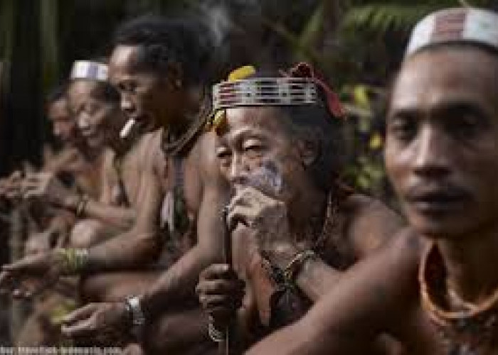 Miliki Kesamaan, Ini 4 Suku Asli Hutan Kalimantan