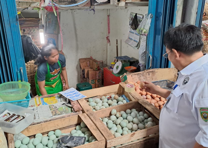 Harga Telur di Palembang Diprediksi Turun Usai Idul Adha