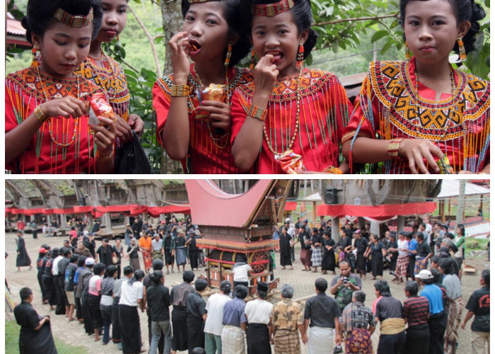 Mengenal Lebih Dekat Suku Toraja: Warisan Budaya dan Ritual yang Memesona