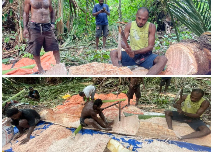 Suku Genyem di Papua: Warisan Leluhur dari Lembah Grime yang Masih Bertahan hingga Kini