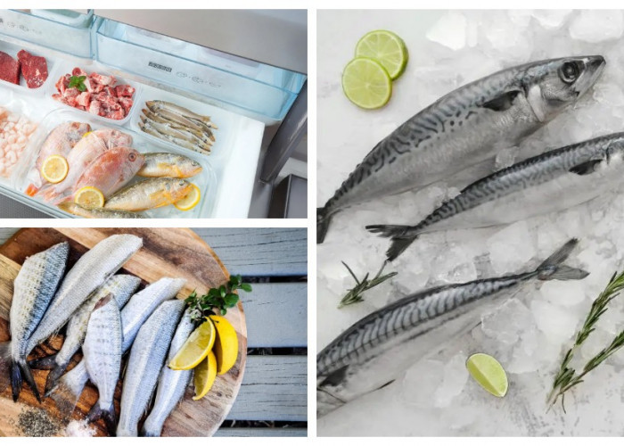 Cara Menyimpan Ikan Segar Tanpa Freezer: Tetap Awet Saat Listrik Padam