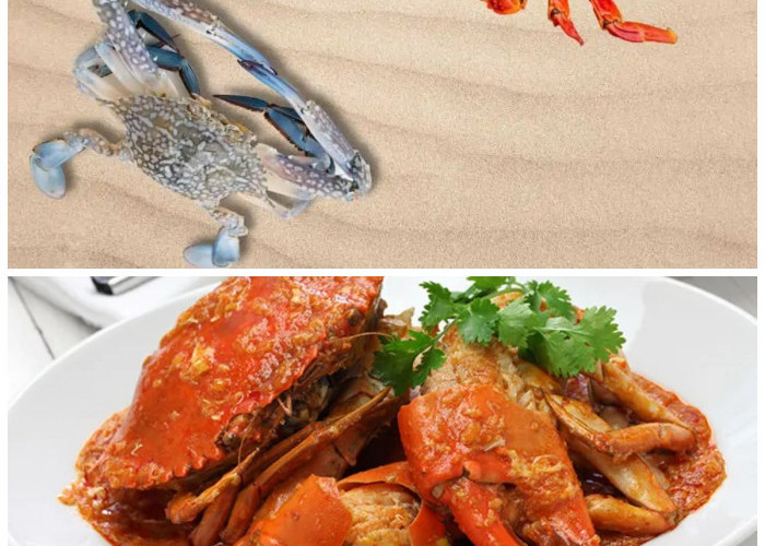 Rajungan, Si Harta Laut yang Menyimpan Segudang Khasiat untuk Kesehatan