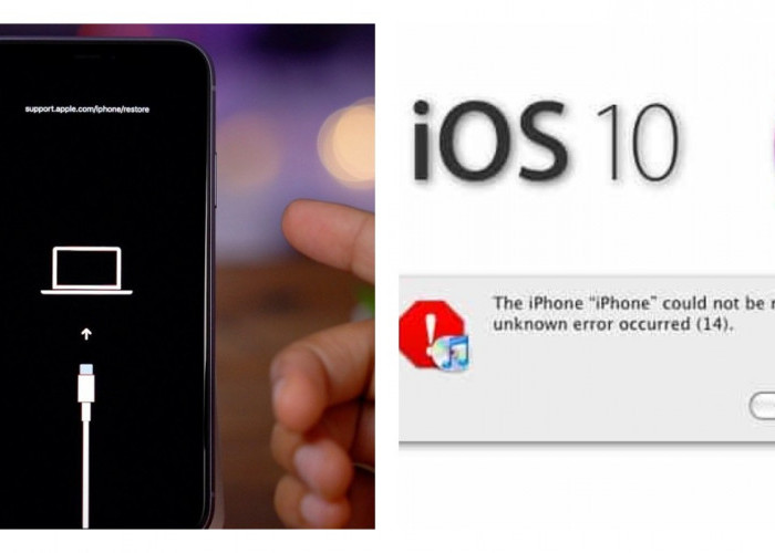 Jangan Panik! Cara Efektif Mengatasi Error iPhone Could Not Be Restored