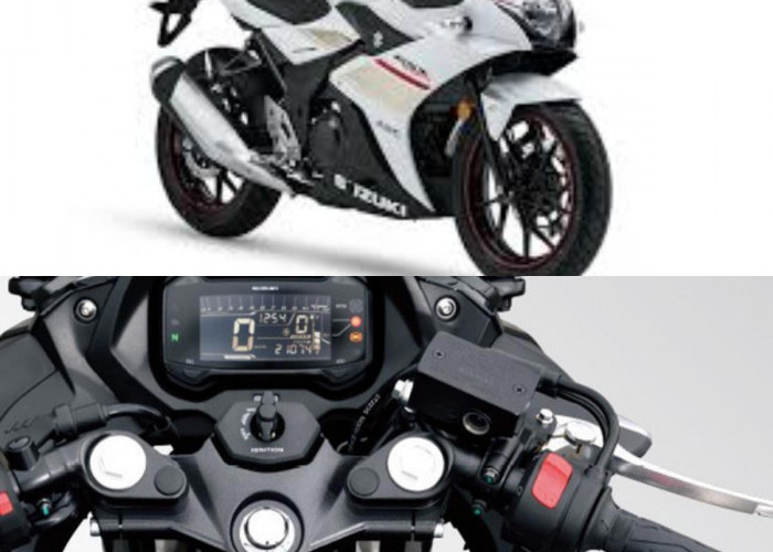 Desainnya Berubah Total! Begini Penampakan Suzuki Seri GSX 250 cc 2-Silinder Terkini