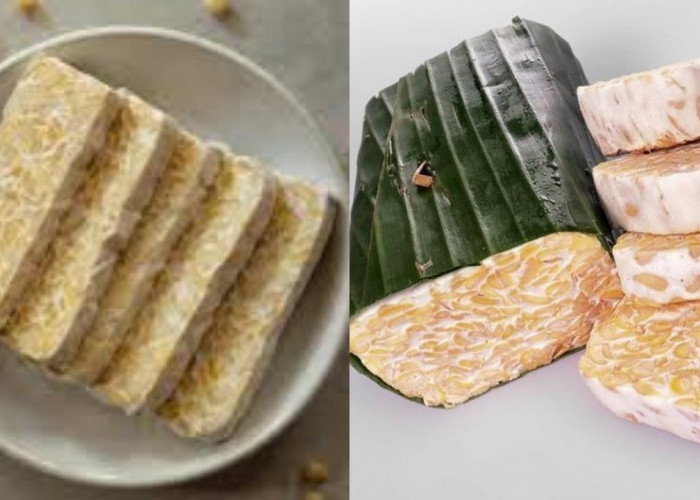 Wajib Tahu 9 Manfaat Tempe untuk Kesehatan yang Jarang Diketahui!