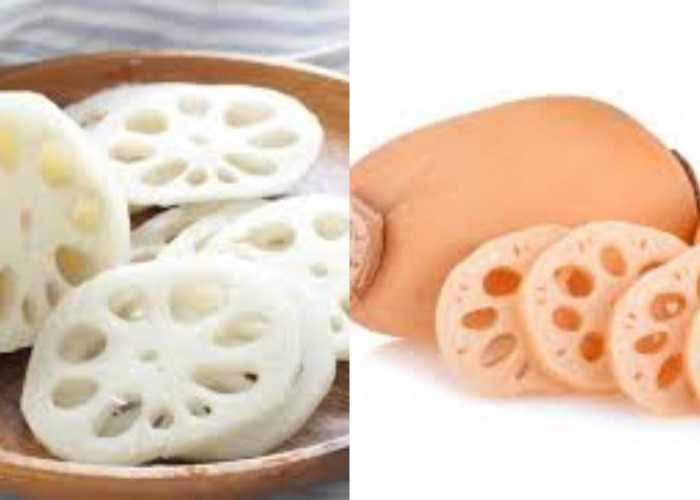 Kamu Harus Tahu! Inilah 9 Manfaat Akar Teratai Untuk Kesehatan Tubuh