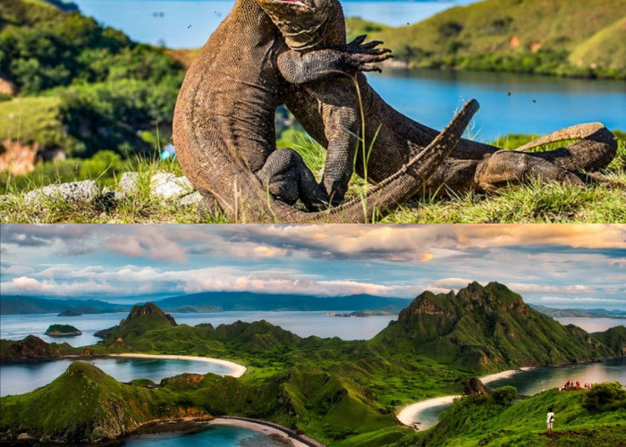 4 Wisata Terbaik di Labuan Bajo! Destinasi Andalan di Indonesia yang Wajib Kamu Kunjungi