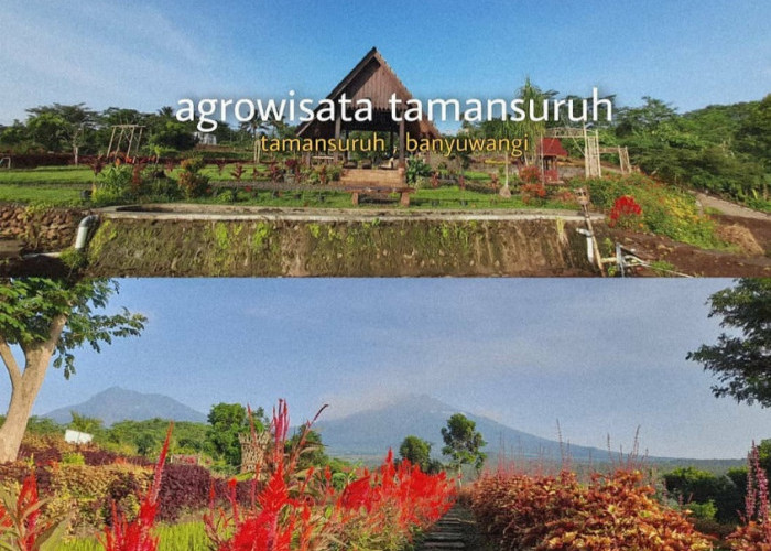 Wisata Hits di Banyuwangi, Ada Agrowisata Yang Edukasi Kamu Tentang Alam