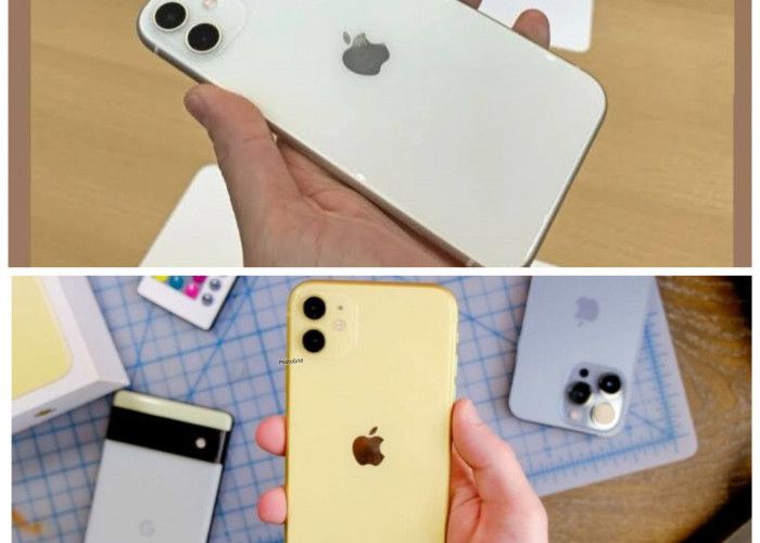 Review Terbaru HP iPhone 11: Benarkah Kualitas Kameranya Bisa Menyaingi DSLR?