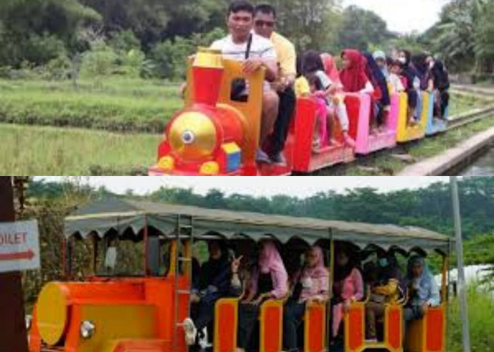 Yuk Rasakan Serunya Menyusuri Desa Wisata dengan Kereta Mini yang Bikin Betah Seharian