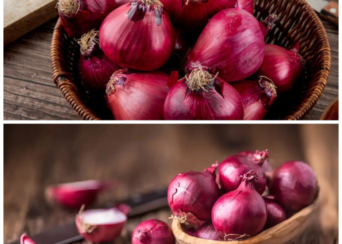 Manfaat Bawang Merah bagi Kesehatan Tubuh: Rahasia Alami yang Wajib Diketahui!