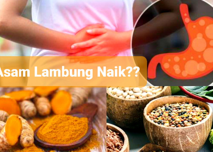 Asam Lambung Ogah Kembali. 7 Rempah dan Herbal Ini Ampuh Atasi Asam Lambungmu