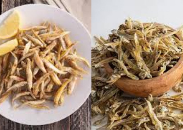  Yuk Ketahui! Ini 6 Manfaat Ikan Teri Untuk Kesehatan Tubuh Yang Luar Biasa